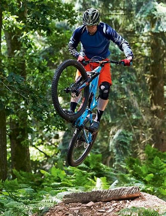 Cayman Electric Mountain Bike 