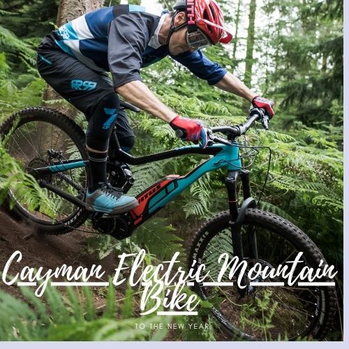 Cayman Electric Mountain Bike